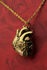 Anatomical Heart Necklace 24k Gold-Plated