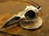 Raven Skull Antique Silver