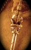 Double Faced Skeleton Key Pendant in antique silver