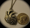 Anatomical Heart Pendant in antique silver