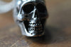 Small Human Skull