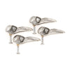 Crow Skull Knob  silver finish
