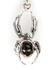 The Skull Spider
