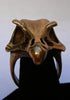 Falcon Skull Ring in Bronze