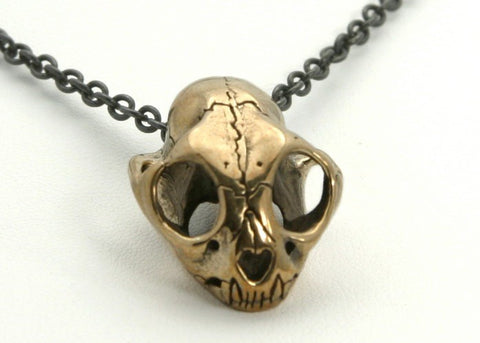 Small Cat Skull in Bronze