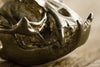 Bull Dog Skull Pendant in bronze