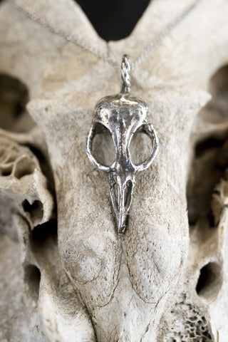 Bellatrix Bird Skull Necklace Silver Plated