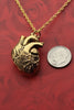 Anatomical Heart Necklace 24k Gold-Plated