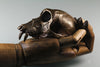 Monkey Skull in purified recycled bronze lost wax life cast made in NYC