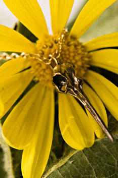 Hummingbird Skull Necklace in Bronze