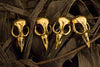 Bird Skull Knob antique gold finish