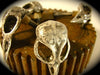 Bird Skull Knob antique silver finish