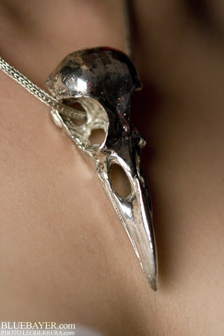 Life Sized American Crow Skull in Silver Finish